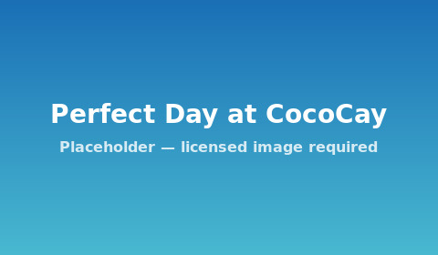 Perfect Day at CocoCay — placeholder image