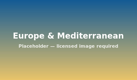 Mediterranean coastline — placeholder image